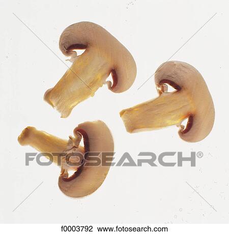 mushroom, vegetable, aliment, slice, button mushroom, inside View Large Photo Image Stock Image - mushroom, vegetable, aliment, slice, button mushroom, inside. Fotosearch