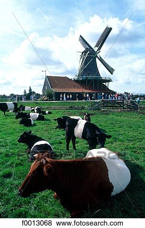 Netherlands, Europe, exterior, open air, travel, travel Holland, architecture View Large Photo Image Stock Photo - Netherlands, Europe, exterior, open air, travel, travel Holland, architecture. Fotosearch