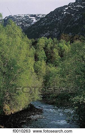 Norway, Europe, exterior, open air, travel, travel spring, landscape View Large Photo Image Stock Image - Norway, Europe, exterior, open air, travel, travel spring, landscape. Fotosearch