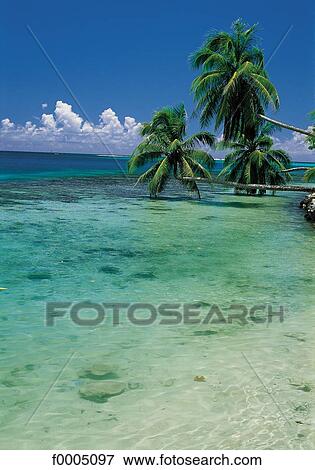 Oceania, Polynesia, beach, beaches, sea, sand View Large Photo Image Stock Photo - Oceania, Polynesia, beach, beaches, sea, sand. Fotosearch