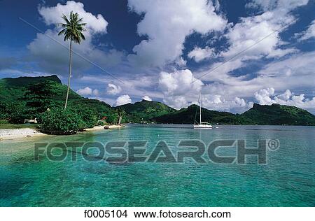 Picture - Oceania, Polynesia, escape, paradise, paradisiac, sea. Fotosearch