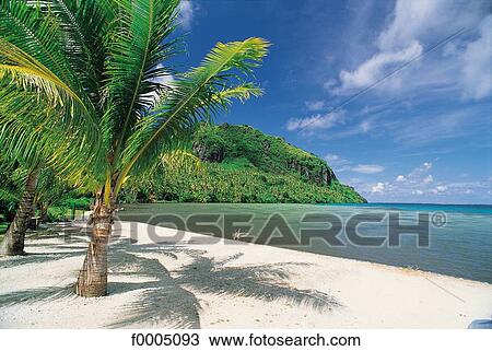 Oceania, Polynesia, landscape, landscapes, scene, scenery View Large Photo Image Stock Image - Oceania, Polynesia, landscape, landscapes, scene, scenery. Fotosearch
