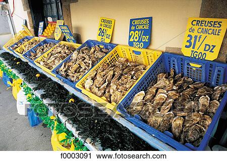 oyster, stshop, Brittany, Europe, France, French, French Ille et Villaine View Large Photo Image Stock Image - oyster, stshop, Brittany, Europe, France, French, French Ille et Villaine. Fotosearch