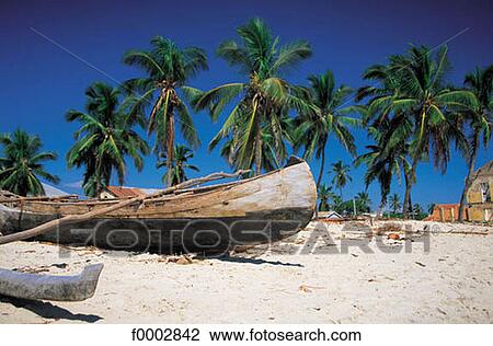 Stock Image - palm tree, beach, beaches, sea, sand, exotism, exotic. Fotosearch