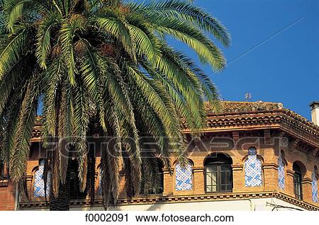 palm tree, house, Spain, Europe, Catalonia, exterior View Large Photo Image Stock Image - palm tree, house, Spain, Europe, Catalonia, exterior. Fotosearch
