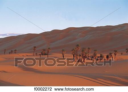 palm tree, landscape, landscapes, scene, scenery, scenes, sceneries View Large Photo Image Stock Image - palm tree, landscape, landscapes, scene, scenery, scenes, sceneries. Fotosearch