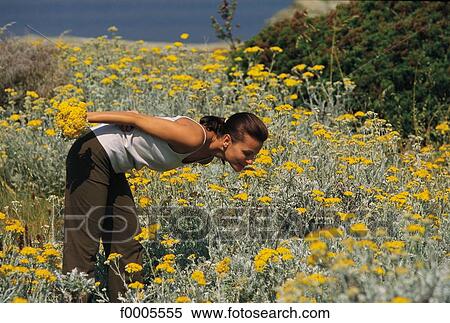 people, exterior, open air, stroll, strolling, countryside View Large Photo Image Stock Photography - people, exterior, open air, stroll, strolling, countryside. Fotosearch