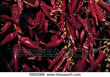 pepper, aliment, red pepper, condiment, vegetable, fruit vegetable View Large Photo Image Stock Photo - pepper, aliment, red pepper, condiment, vegetable, fruit vegetable. Fotosearch