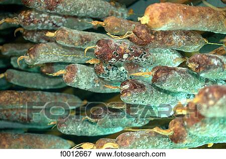 Piedicroce, travel, travel inside, indoors, aliment, gastronomy View Large Photo Image Stock Photo - Piedicroce, travel, travel inside, indoors, aliment, gastronomy. Fotosearch