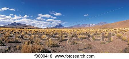 Stock Photo - plain, landscape, landscapes, scene, scenery, scenes, sceneries. Fotosearch