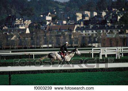Stock Photo - racecourse, horse, rider, horse show, sport, sports, animal. Fotosearch