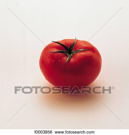 red, vegetable, tomatoes, tomato, fruit vegetable, dew, aliment View Large Photo Image Stock Photograph - red, vegetable, tomatoes, tomato, fruit vegetable, dew, aliment. Fotosearch