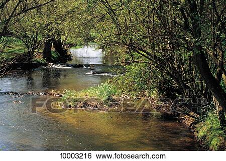river, landscape, landscapes, scene, scenery, scenes, sceneries View Large Photo Image Stock Photograph - river, landscape, landscapes, scene, scenery, scenes, sceneries. Fotosearch