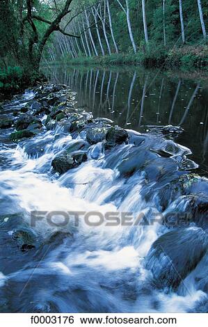 river, Normandy, Europe, Auvray's Forest, France, French, French Orne View Large Photo Image Stock Photograph - river, Normandy, Europe, Auvray's Forest, France, French, French Orne. Fotosearch