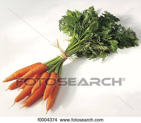 Picture - root, carrot, aliment, vegetable, orange, bunch. Fotosearch