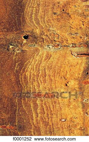 rust, erosion, metal, rusty metal, orange, gold, golden View Large Photo Image Stock Image - rust, erosion, metal, rusty metal, orange, gold, golden. Fotosearch