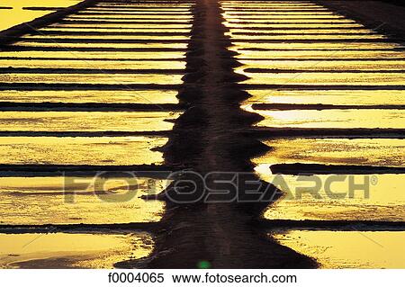 salt beds, salt, sea, geometry, geometric, geometric pattern, France View Large Photo Image Stock Photography - salt beds, salt, sea, geometry, geometric, geometric pattern, France. Fotosearch