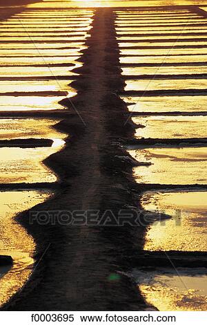 salt beds, salt, sunset, setting sun, Charente Maritime, Europe, France View Large Photo Image Stock Photography - salt beds, salt, sunset, setting sun, Charente Maritime, Europe, France. Fotosearch