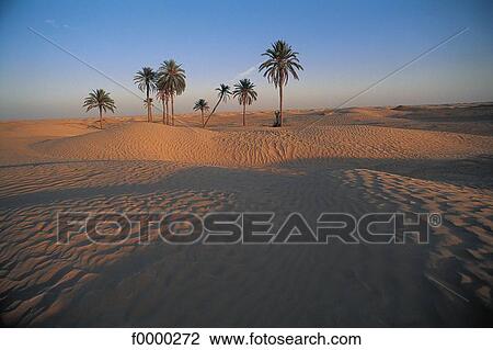 sand, landscape, landscapes, scene, scenery, scenes, sceneries View Large Photo Image Stock Image - sand, landscape, landscapes, scene, scenery, scenes, sceneries. Fotosearch