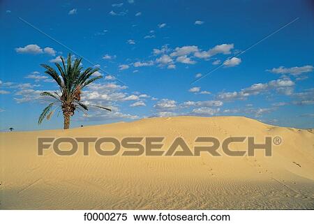 sand, landscape, landscapes, scene, scenery, scenes, sceneries View Large Photo Image Stock Photography - sand, landscape, landscapes, scene, scenery, scenes, sceneries. Fotosearch