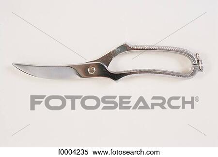scissor, pruning shears, blade, gardening, tool, cutting, metal View Large Photo Image Stock Photography - scissor, pruning shears, blade, gardening, tool, cutting, metal. Fotosearch