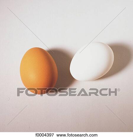 shell, egg, white, hard boiled egg, eggs, beige, aliment View Large Photo Image Stock Photo - shell, egg, white, hard boiled egg, eggs, beige, aliment. Fotosearch