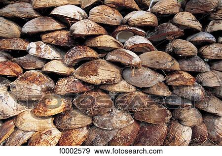shell, exterior, open air, background, backgrounds View Large Photo Image Stock Photo - shell, exterior, open air, background, backgrounds. Fotosearch