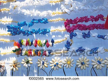 Stock Photography - shell, flower, inside, indoors, background, backgrounds. Fotosearch