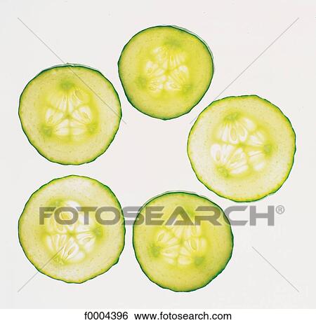slice, vegetable, cucumber, gourd, fruit vegetable, transparency, aliment View Large Photo Image Stock Photograph - slice, vegetable, cucumber, gourd, fruit vegetable, transparency, aliment. Fotosearch