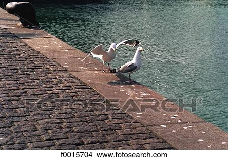 Southern Europe, Europe, European France, French French, Haute Normandie, Seine Maritime, Normandy View Large Photo Image Picture - Southern Europe, Europe, European France, French French, Haute Normandie, Seine Maritime, Normandy. Fotosearch