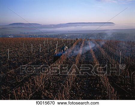 Southern Europe, Europe, European France, French French, Champagne Ardenne, Champagne, Marne View Large Photo Image Stock Image - Southern Europe, Europe, European France, French French, Champagne Ardenne, Champagne, Marne. Fotosearch
