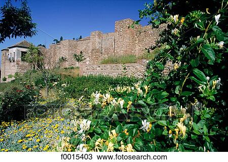 Stock Image - Spain, Andalusia, Southern Europe, Europe, European travel, travel architecture, architectural. Fotosearch