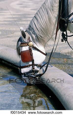 Picture - Spain, Southern Europe, Europe, European Andalusia, travel, travel Seville, exterior. Fotosearch