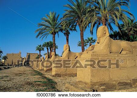 sphinx, vestige, ruin, antiquity, Egypt, Northern Africa, archeological site View Large Photo Image Stock Photograph - sphinx, vestige, ruin, antiquity, Egypt, Northern Africa, archeological site. Fotosearch
