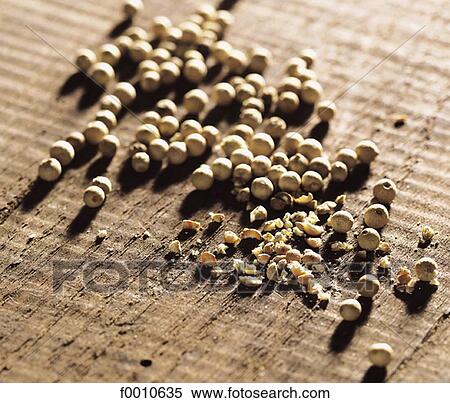 spice, inside, food, gastronomy, indoors, aliment View Large Photo Image Stock Photography - spice, inside, food, gastronomy, indoors, aliment. Fotosearch