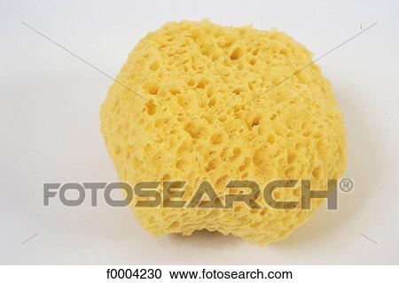 sponge, inside, indoors, object, objects, hygiene View Large Photo Image Stock Image - sponge, inside, indoors, object, objects, hygiene. Fotosearch