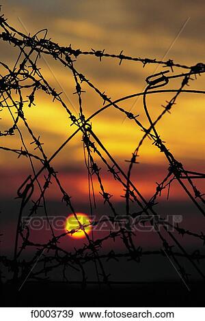 sunset, setting sun, iron, barbed wire, entrapment, closed, closing View Large Photo Image Stock Photo - sunset, setting sun, iron, barbed wire, entrapment, closed, closing. Fotosearch