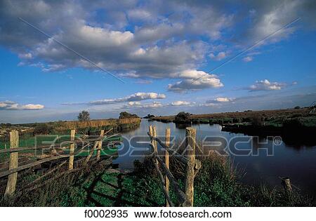swamp, marsh, landscape, landscapes, scene, scenery, scenes View Large Photo Image Stock Photography - swamp, marsh, landscape, landscapes, scene, scenery, scenes. Fotosearch