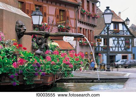 traditional dwelling, fountain, flower, house, flora, wildlife, Alsace View Large Photo Image Stock Photography - traditional dwelling, fountain, flower, house, flora, wildlife, Alsace. Fotosearch