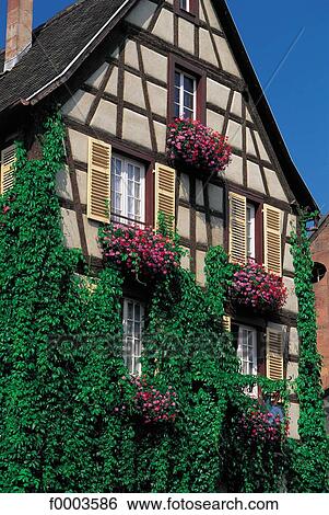 traditional dwelling, front, house, Alsace, Europe, France, French View Large Photo Image Stock Photograph - traditional dwelling, front, house, Alsace, Europe, France, French. Fotosearch
