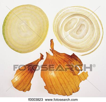 transparency, vegetable, slice, onion, bulb vegetable, transparent, aliment View Large Photo Image Stock Image - transparency, vegetable, slice, onion, bulb vegetable, transparent, aliment. Fotosearch