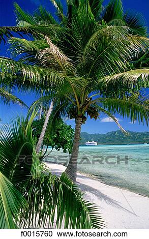 travel, travel cruise, sea, Islands, Polynesia, Windward Islands View Large Photo Image Stock Image - travel, travel cruise, sea, Islands, Polynesia, Windward Islands. Fotosearch