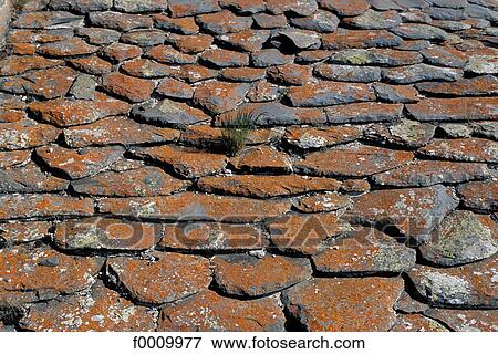 travel, travel Europe, France, French, French Auvergne, Cantal, exterior View Large Photo Image Stock Photo - travel, travel Europe, France, French, French Auvergne, Cantal, exterior. Fotosearch
