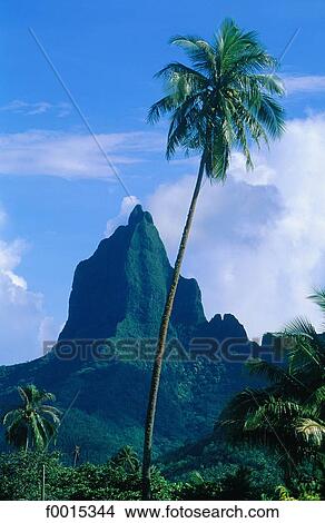 travel, travel exterior, open air, landscape, landscapes, scene, scenery View Large Photo Image Picture - travel, travel exterior, open air, landscape, landscapes, scene, scenery. Fotosearch