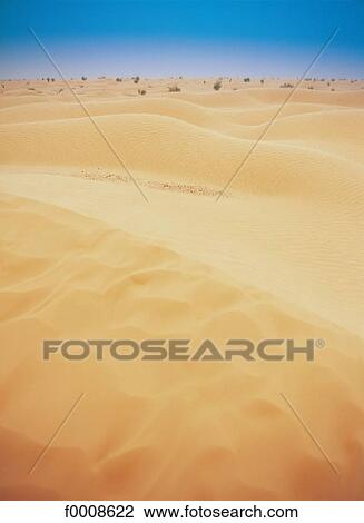 travel, travel exterior, open air, Northern Africa, Tunisia, desert, sand View Large Photo Image Stock Image - travel, travel exterior, open air, Northern Africa, Tunisia, desert, sand. Fotosearch