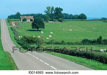 travel, travel exterior, open air, road, roads, countryside, country View Large Photo Image Stock Image - travel, travel exterior, open air, road, roads, countryside, country. Fotosearch