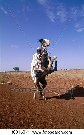 travel, travel exterior, open air, Africa, Central Africa, Cameroon View Large Photo Image Stock Image - travel, travel exterior, open air, Africa, Central Africa, Cameroon. Fotosearch