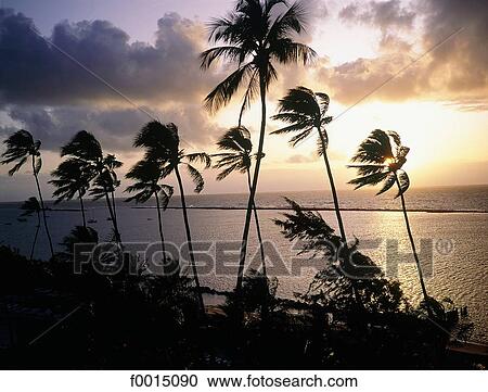 travel, travel exterior, open air, South America, America, Latin America, Brazil View Large Photo Image Stock Image - travel, travel exterior, open air, South America, America, Latin America, Brazil. Fotosearch