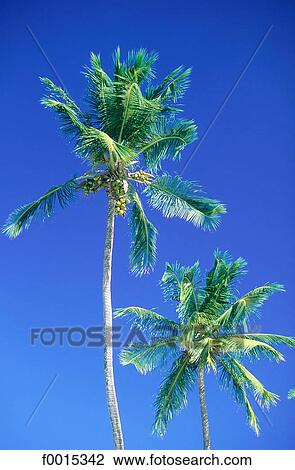 travel, travel exterior, open air, exotism, exotic, tropical, Islands View Large Photo Image Stock Image - travel, travel exterior, open air, exotism, exotic, tropical, Islands. Fotosearch