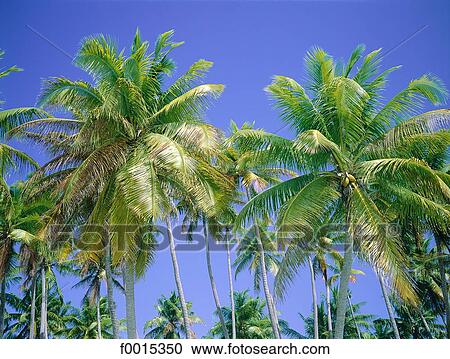 travel, travel exterior, open air, exotism, exotic, tropical, Islands View Large Photo Image Stock Image - travel, travel exterior, open air, exotism, exotic, tropical, Islands. Fotosearch